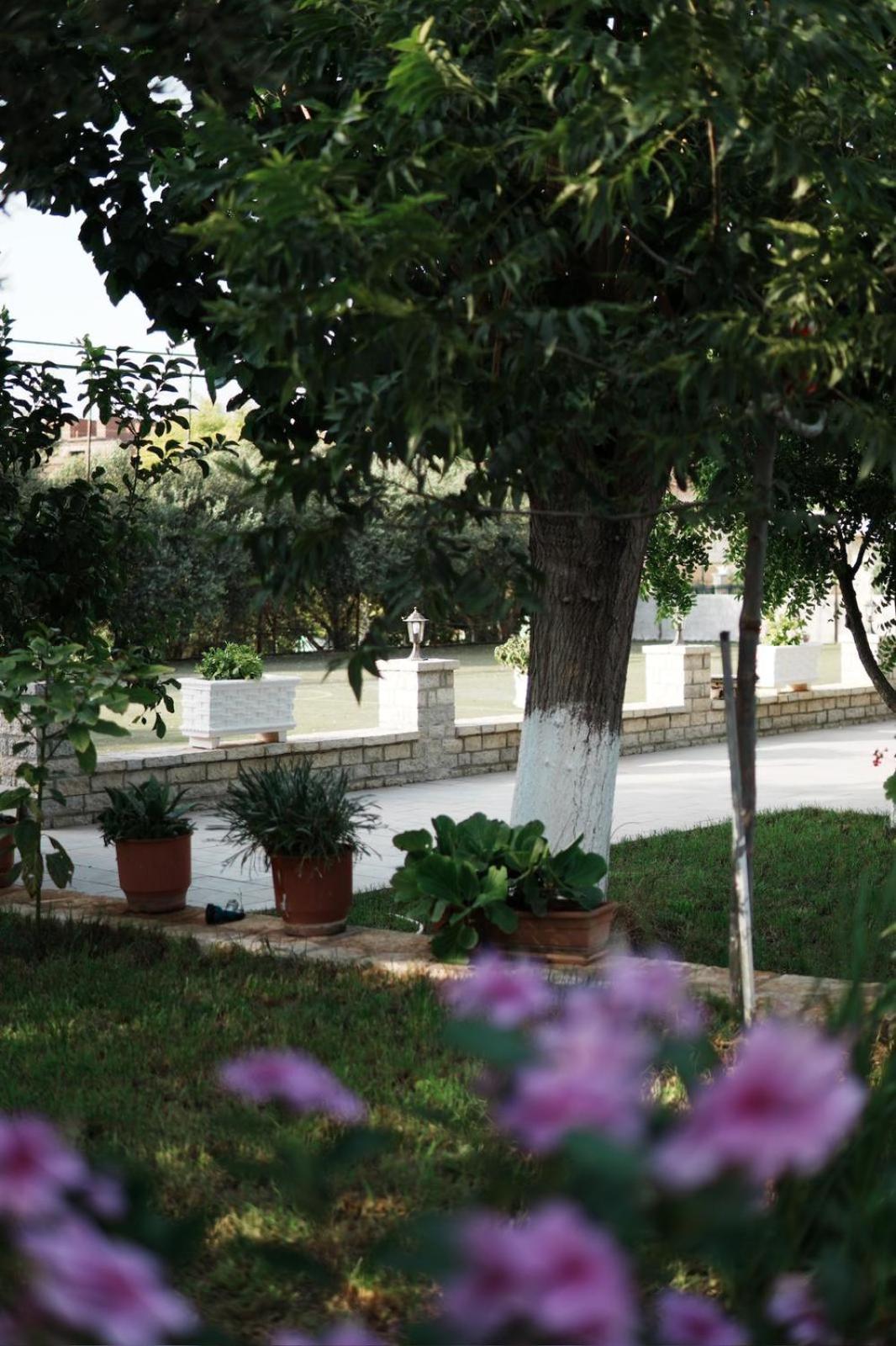 Gardenia Sarande